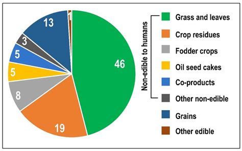  Millet – A Powerhouse Grain for Sustainable Food Systems and Biofuel Production!