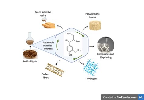  Lignin –  Vật liệu sinh học đa năng cho ngành công nghiệp tương lai!